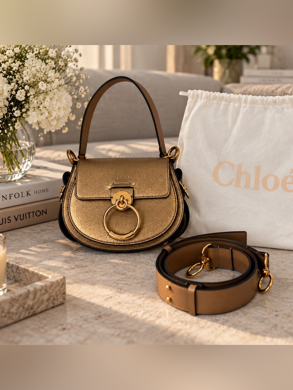 RARE Chloe Tess Metal Gold & Brown Leather Crossbody Bag Luxury Small